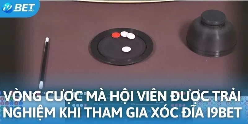 Vòng cược mà hội viên được trải nghiệm khi tham gia xóc đĩa I9BET